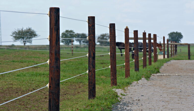 Picking the Right Style and Materials for Your Ranch Fence in Texas